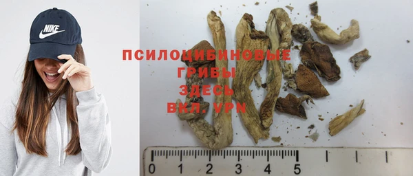хмурый Балахна