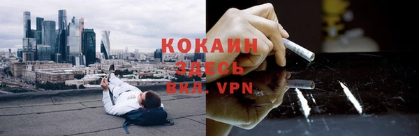 шишки Снежинск