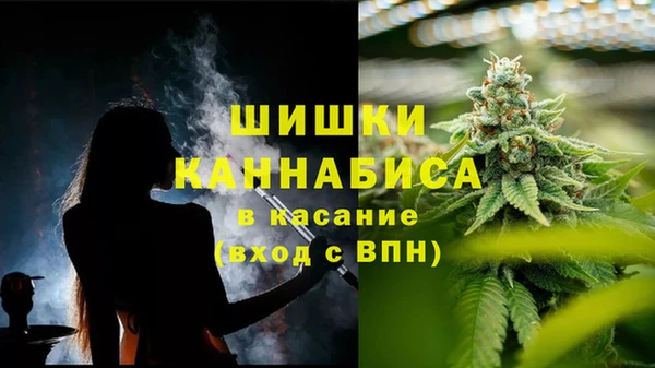 твердый Белокуриха