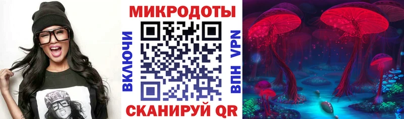 Псилоцибиновые грибы ЛСД  Волхов 